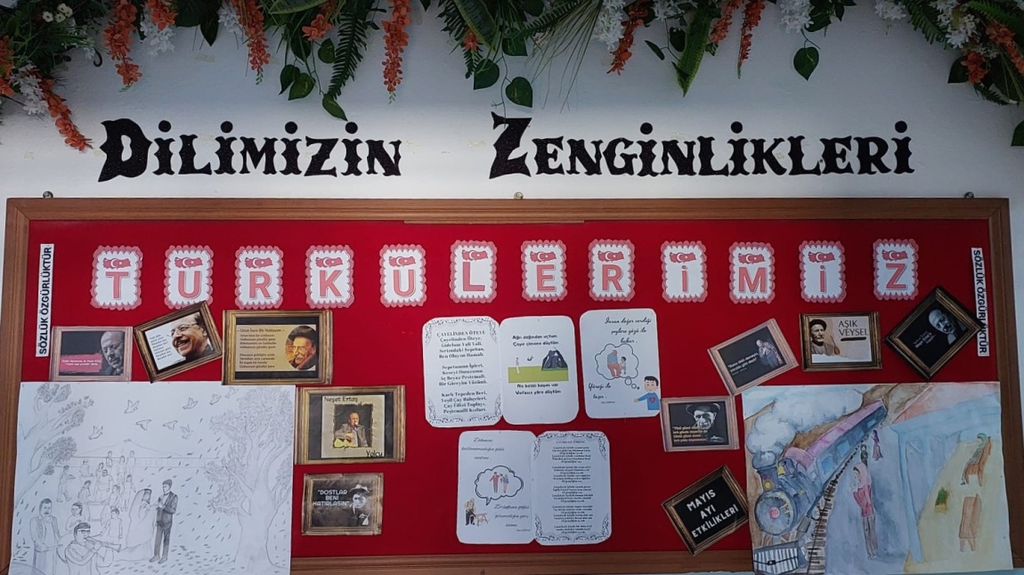 Dilimizin Zenginlikleri - Mayıs-2025 Ayı Faaliyetleri